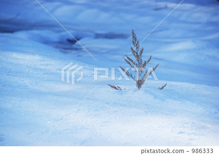 Snowy field 986333