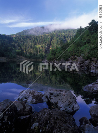 Fresh green twin pond 986365