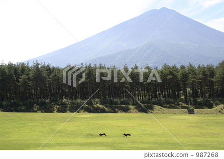 Mount Fuji and black dog Mount Fuji and black dog 987268