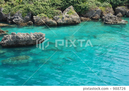 池島的美麗 池島的美麗 988726