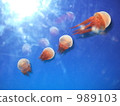 水母 海蜇 飄浮 989103