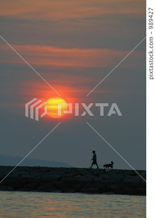 Walk with my dog in the setting sun Walk with my dog in the setting sun 989427