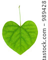 Heart shaped leaf 989428