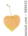 Heart shaped leaf 989432