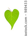 Heart shaped leaf 989433