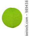 Round leaves 989438