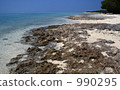 Taketomijima Kaiji Beach 990295