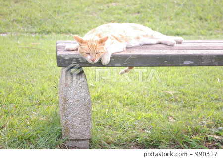 你有空嗎? 你有空嗎? 990317