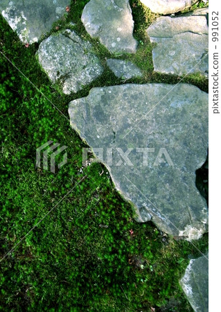 In Kyoto. In Kyoto. 991052