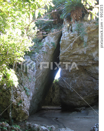 沖繩船橋Utaki的三盒（女士） 991855