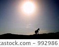 太陽和馬 992986