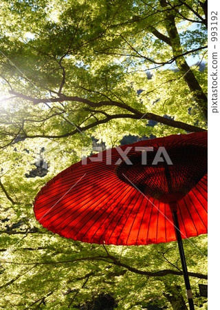 paper umbrella with a bull's-eye design, Japanese Gardens, japanese-style garden 993192