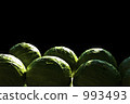 cabbage, cabbages, oleracea 993493
