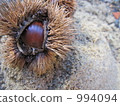 Chestnut 994094