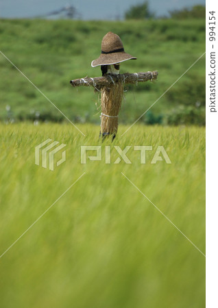 稻草人 有名無實的領袖 綠色 994154