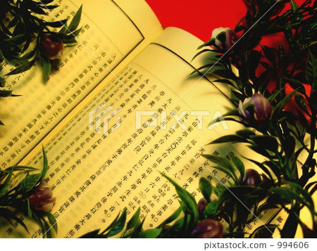 Kanji / Meiji era compilation dictionary / Image for confirmation of copyright protection available 994606