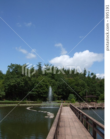 suspension bridge, fountain, water fountain 995191