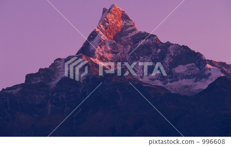 Himalaya Himalaya 996608