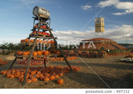 Harvest festival Harvest festival 997152