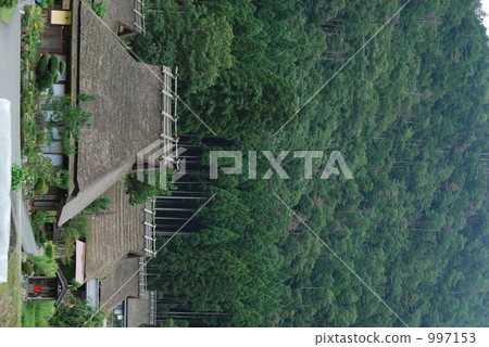 miyama, thatch roof, kayabuki-no-sato 997153