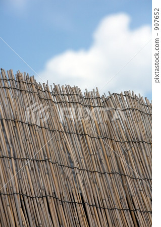 沒關係 沒關係 997652