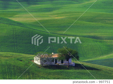 Spanish farmer 997751