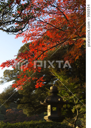 Rikuen公園照明 998934