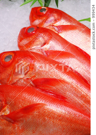 Red snapper 999434