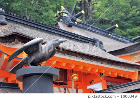 Kumano Nachi Taisha Shrine and Hakuho 1000349