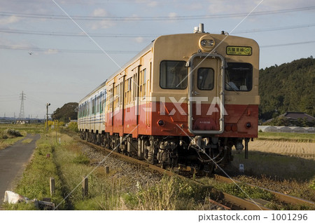 Kurumi line Kiha 30 JNR color 1001296