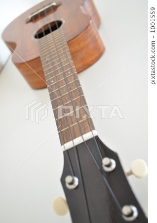 ukulele, ukelele, white background 1001559