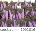 Morning market lavender 1001816