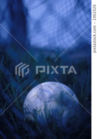Soccer ball aside the ground 1002026