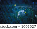 Balls and flowers beside the ground 1002027