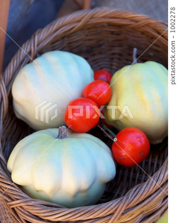 秋天的恩典 秋天的恩典 1002278