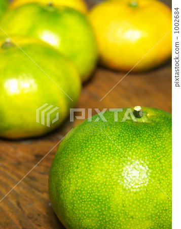 早稻田橙1 1002684