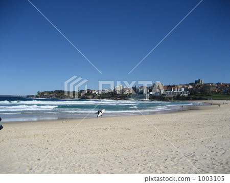Adelaide's coastline 1003105