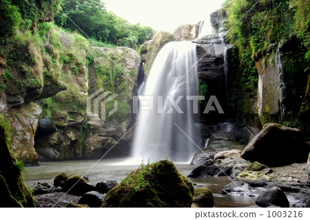 Yellow cattle waterfall (rainy waters fall) 1003216