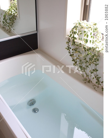 Bathroom Bathroom 1003882