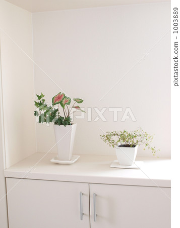 Plant entrance Plant entrance 1003889