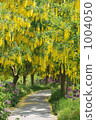 花隧道 1004050