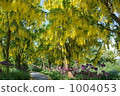 花隧道 1004053