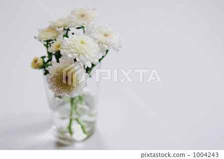 chrysanthemum morifolium, flower arrangement, flower arrangements 1004243