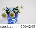 菊花 插花藝術 小花 1004245