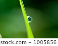 水滴 1005856