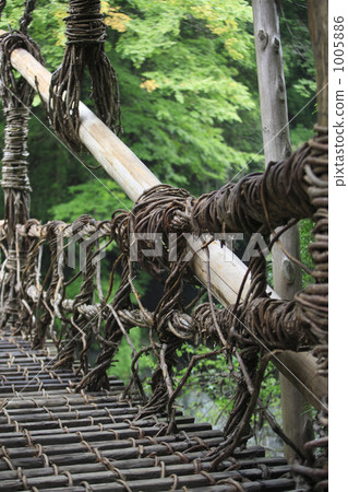 Kazura Bridge 1005886