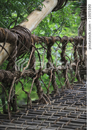 Kazura Bridge Kazura Bridge 1005890