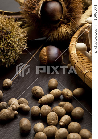Autumn food 1006071