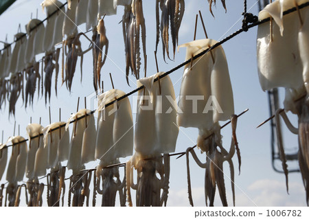 幹魷魚 幹魷魚 1006782