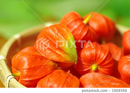 許多Onigumi 1008568